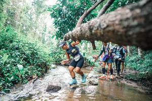 BIB: 
                            <button type="button" onclick="openModal(25373720)" class="btn btn-primary btn-sm float-right btn-popup" data-toggle="modal" data-target=".modal-high-quality">
                        <i class="fas fa-shopping-cart"></i> Add to Cart
                    </button>
                                            <button type="button" onclick="isThisMe(25373720, true)" class="btn btn-success btn-sm float-right btn-popup btn-isme hidden" data-toggle="tooltip" data-placement="bottom" title="นี่คือรูปของคุณใช่ไหม คลิกที่นี่เพื่อเอาเข้าอัลบั้ม">
                        <i class="fas fa-plus"></i> Add to album
                    </button>
                    <button type="button" onclick="isThisMe(25373720, false)" class="btn btn-warning btn-sm float-right btn-popup btn-isnotme hidden">
                        <i class="fas fa-ban"></i> Remove from album
                    </button>